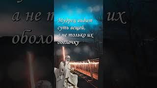 Мудрец видит суть вещей, а не только их оболочку #Платон