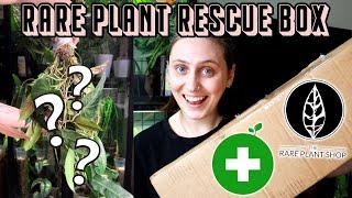 can I save these rare plants?  The Rare Plant Shop Rescue Box Haul