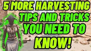 5 More Harvesting Tips and tricks you need to know! Conan Exiles Age of Heroes