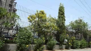 Property In Dwarka Sector-10 New Delhi, Flats In Dwarka Sector-10 Locality - MagicBricks - Youtube