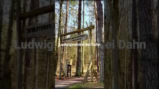 #freizeit #ausflug #Natur #hike #wald Wandertour Strecke #dahn #Pfalz Rumbergsteig in Ludwigswinkel