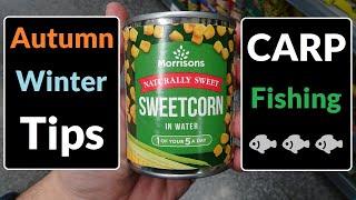 Quick Fishing Tips - How to Enhance Sweetcorn for Autumn/Winter Carp