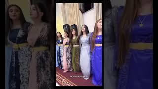 kurdish wedding  dance  status | trending dance | #trend #foryou #trending #shorts #song