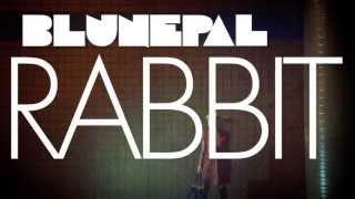 BluNepal - Rabbit (official video)