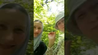 Дорога из монастыря на подворье через лес. Песнь Богородице.