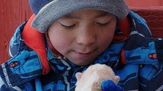 What It's Like to Grow Up on the Greenland Tundra | Op-Docs