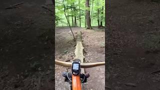 Log Ride in New York 🪵 #fatbike