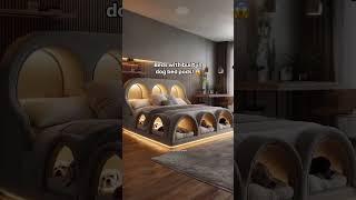 These beds with dog bed pods are pure genius! #doglover #dogmom #interiordesign #tiktokmademebuyit