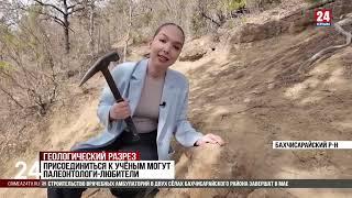 Аммониты раннего мела Крыма