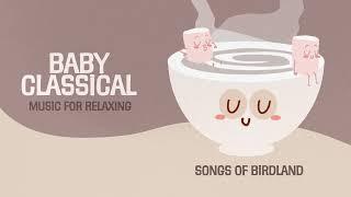 Calming Classical Music for Babies  Verdi, Schuber & Mozart  Baby Piano Songs for Sleeping