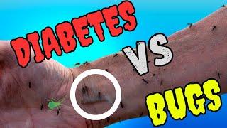 Do Diabetics Get Bitten More By Bugs? The Truth About the Link Between Diabetes and Insect Bites.