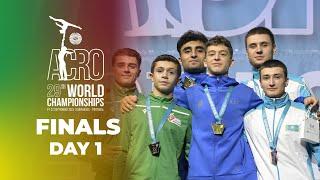 Finals Day 1 - 2024 Acrobatic Gymnastics World Championships, Guimarães (POR)