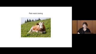 UC Tech 2023 - Creating Cattle, not Pets. Using AWS CloudFormation to build replicable apps