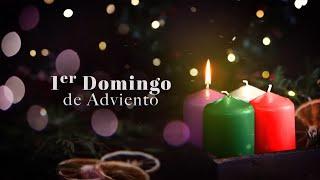 Primer Domingo de Adviento, Domingo 1 Diciembre 2024 ️ Padre Luis Vivó #TeleVID #Adviento2024