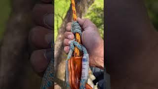 Hitch climber setup  #arborist #treelife #treeworker