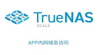 TrueNAS SCALE APP内网域名访问，分流思路