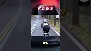 骑行圈到底乱不乱呢？#汽车 #科普 #car