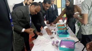 Tulsi paint Live Design Bana Raha hain Santos Sharma & Summit Dhoot Sir|Rcm Tulsi Paint|Tulsi paints