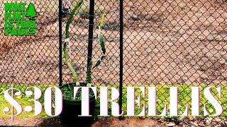 The $30 DRAGON FRUIT TRELLIS