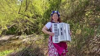 EPIC Entertainment Accordionist