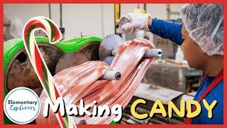 How is a Candy Cane Made? - Hammond's Candy Factory Tour - Denver, Colorado