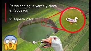 Patos con agua verdosa y transparente en Socavón Puebla Hoy 21 Agosto 2021