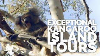 Overview of Exceptional Kangaroo Island Tours | Exceptional Kangaroo Island