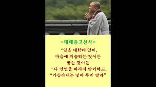 #대혜종고선사# #김이현 定慧#禪어록,#참선 ,#선불교,#간화선 ,#명상,#수행,#수행#자신과의 만남,