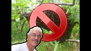 HONEY BEES Never Again In the PERMACULTURE ORCHARD