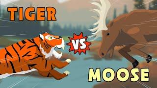 Tiger vs Moose | Jungle vs Woodland Animals [S1] | Animal Animation