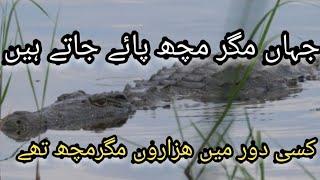 VLOG PART 2 SARMASAT LAKE MANGLI SANGHAR SINDH MOOMAL TV