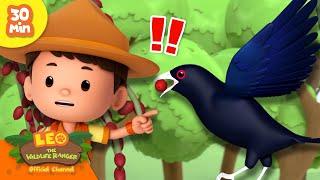 STOP THAT BERRY-STEALING BIRD!  | Birds of Nature ️ | Leo the Wildlife Ranger | Kids Cartoons