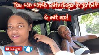 How to survive in a pandemic when food runs out!(Eat roaches)