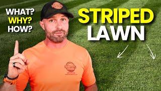 The Real Reason Your Lawn Won’t Stripe (And How to Change It!)