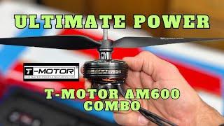 Ultimate 3D Power system - T Motor AM600 Combo