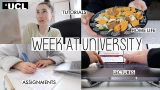 A WEEK IN MY LIFE AS AN ONLINE UNIVERSITY STUDENT (MASTER’S AT UCL)