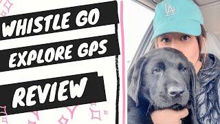 Whistle GPS dog tracker review (Whistle GO Explore GPS + Health tracker for Dogs Review)