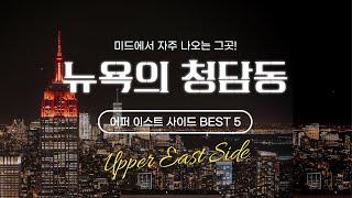 뉴욕의 청담동 '어퍼 이스트 사이드' 주거 BEST 5 (Upper East Side 라이프 엿보기)