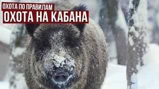 Охота на кабана // Охота по правилам. Выпуск 7