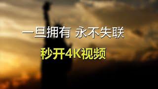 免费高速，秒开4K 一旦拥有永不失联