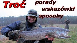 Jak złowić troć | Podstawy łowienia troci cz.1 | przynęty, rady, sposoby | Ina 2019