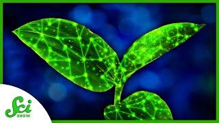 Making Plants High-Tech With Artificial Neurons | SciShow News