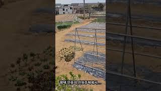 평택 안중 전원주택