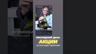 для заказа переходите на сайт ссылка в шапке канала 