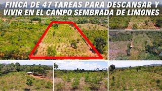 Finca de 47 Tareas para VIVIR o DESCANSAR en el CAMPO Sembrada de Limones en Don Juan Monte Plata