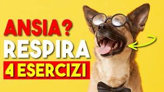 Esercizi di Respirazione per Ansia e Stress | Tecniche di Rilassamento