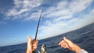 sydney offshore fishing !   4K