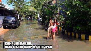 Rejekinya pemancing! Banjir dadakan bikin ikan makin menggila