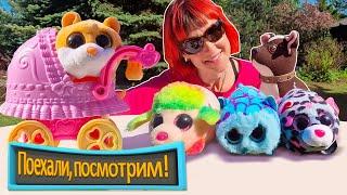 Поехали, посмотрим! Морские свинки — игрушки и настоящие! Веселые видео для детей с Машей Капуки