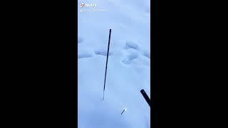 ГИГАНТСКИЙ БЕНГАЛЬСКИЕ ОГНИ